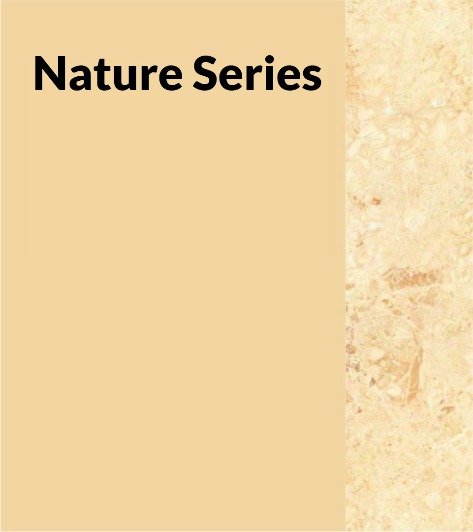 Catalogue